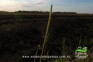 Fazenda com 1496 ha em Cachoeira do Sul localidade Irapu�.00_15_42_29.Quadro044_08965cf1bd1aa68c85a173e9e4cd9f53201589dd.jpg